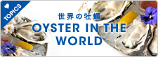 世界の牡蠣